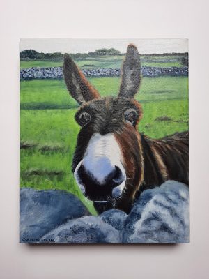 Here’s Looking at you – Ag breathnú ort