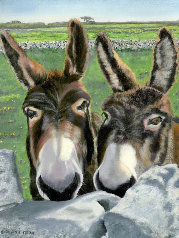 Up to no good - Ní bheadh an deabhal suas leo