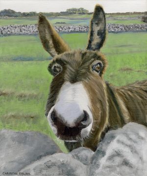 Here's looking at you - Ag breathnú ort