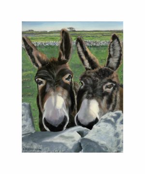 Up to no good - Ní bheadh an deabhal suas leo