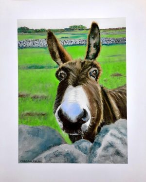 Here's looking at you - Ag Breathnú Ort