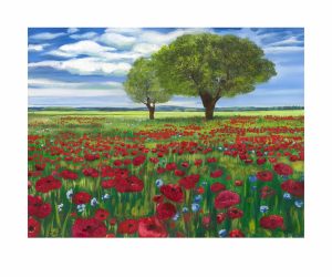 Field of dreams