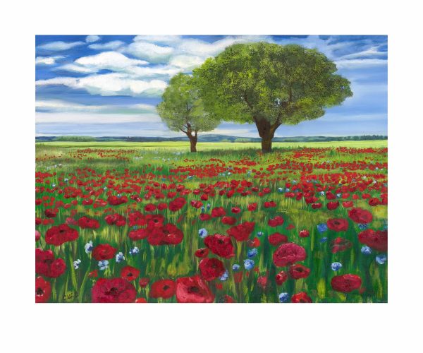 Field of dreams