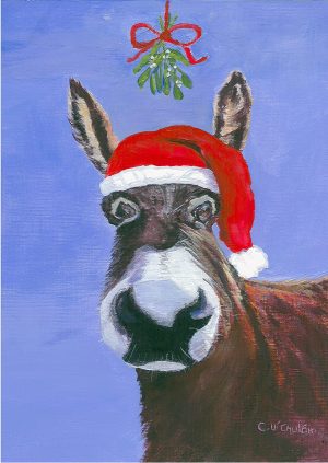 In the Christmas Spirit